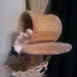 Meet your Posher, Suellen